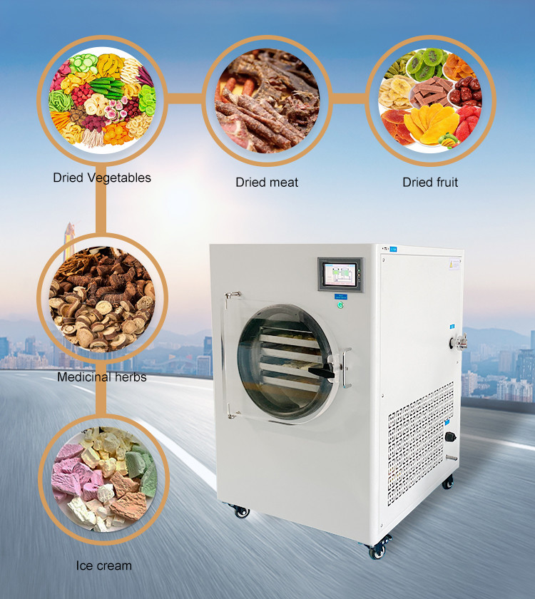 220V Home Vacuum Freeze Dryer Fruit Liquid Freeze Dried Maker