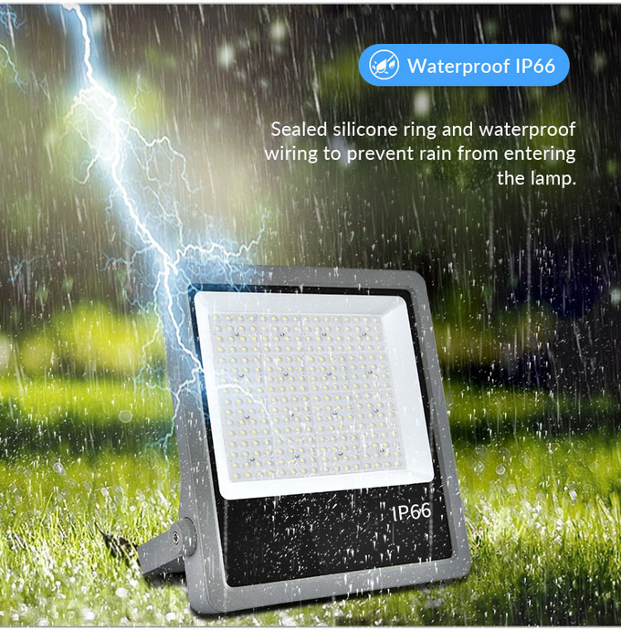 Aluminum Die-Casting 100W Led Flood Lights Indoor Garden Floodlight For Theme Park