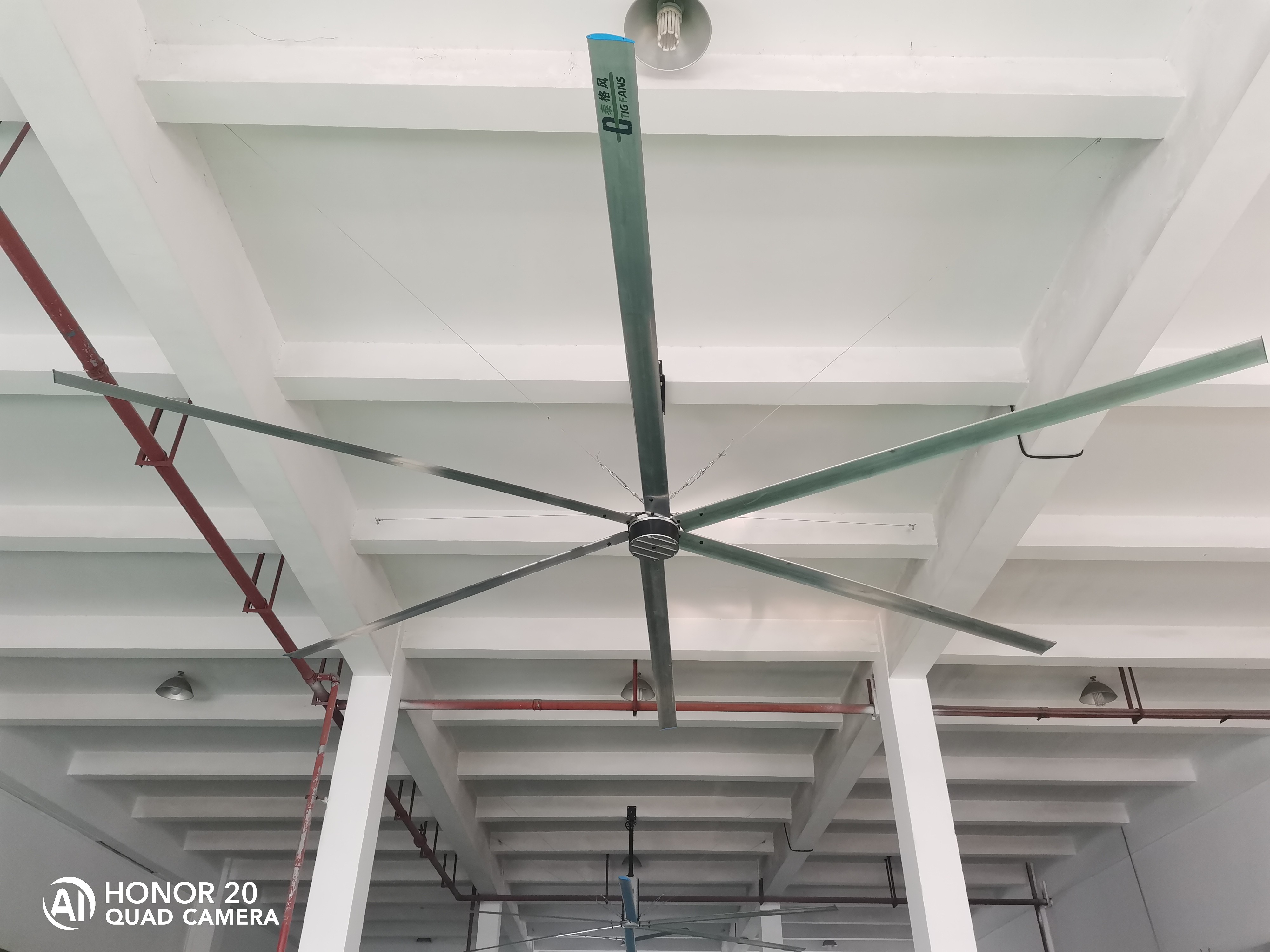 24ft 7.3m 6 Blades Livestock Ventilation Fans Air Cooling