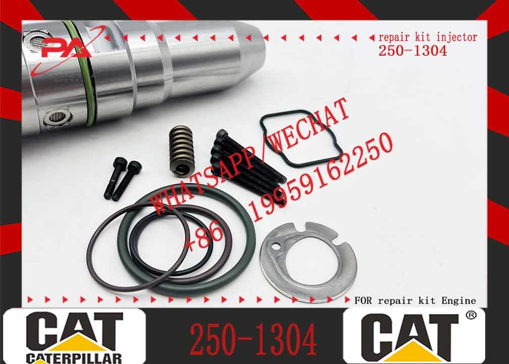 Diesel Engine Injector162-8813 246-1854 250-1311 250-1302 250-1304 250-1303 250-1306 250-1308For Caterpillar C3512B Common Rail