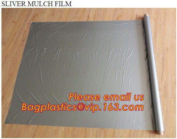 perforated ground film, Vapor Barrier film, Greenhouse film, Agricultural Panda Film, Reflective Maylar Film