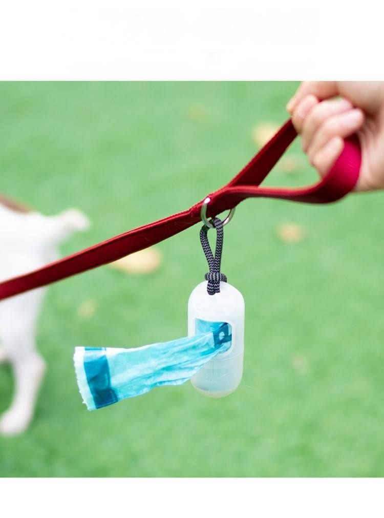 Pet Adjustable Leash And Diving Nylon Collar Anti-Escape Dog Walking Set