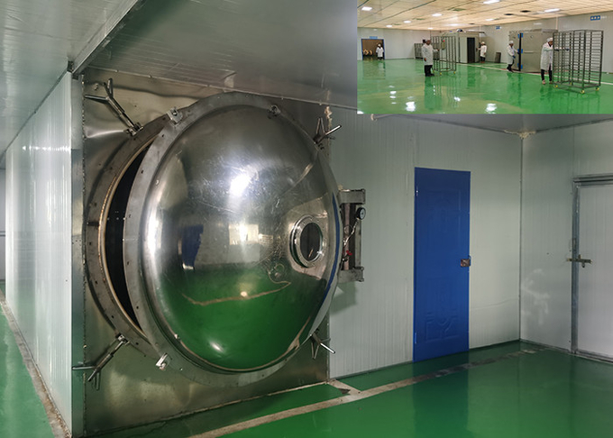 Large Industrial Vegetable Freeze Dry Fruit Machine 300Kg/Batch