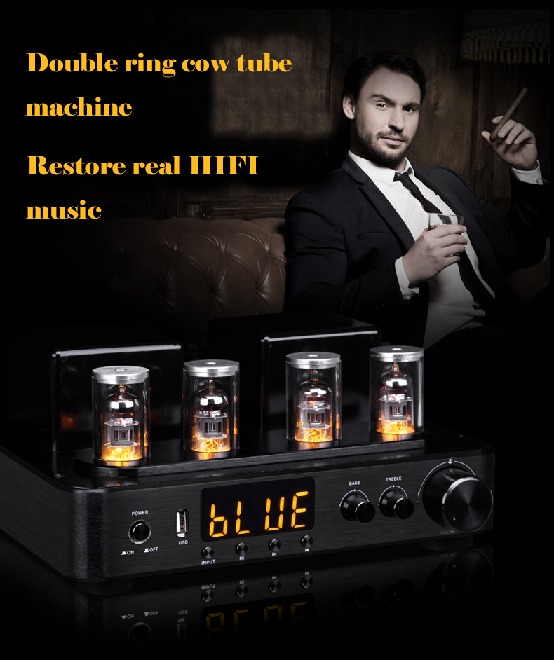 5 Inch Medium Bass Hi Fi Bookshelf Speakers For Indoor Home