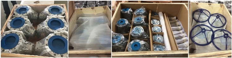 General Manual Gate Valve with Ductile Cast Iron GGG50 Hand Wheel Resilient Seated Water Seal DIN Pn10 Pn16 OEM Supported