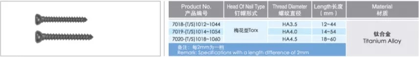 Bone Self Tapping Metal Screws