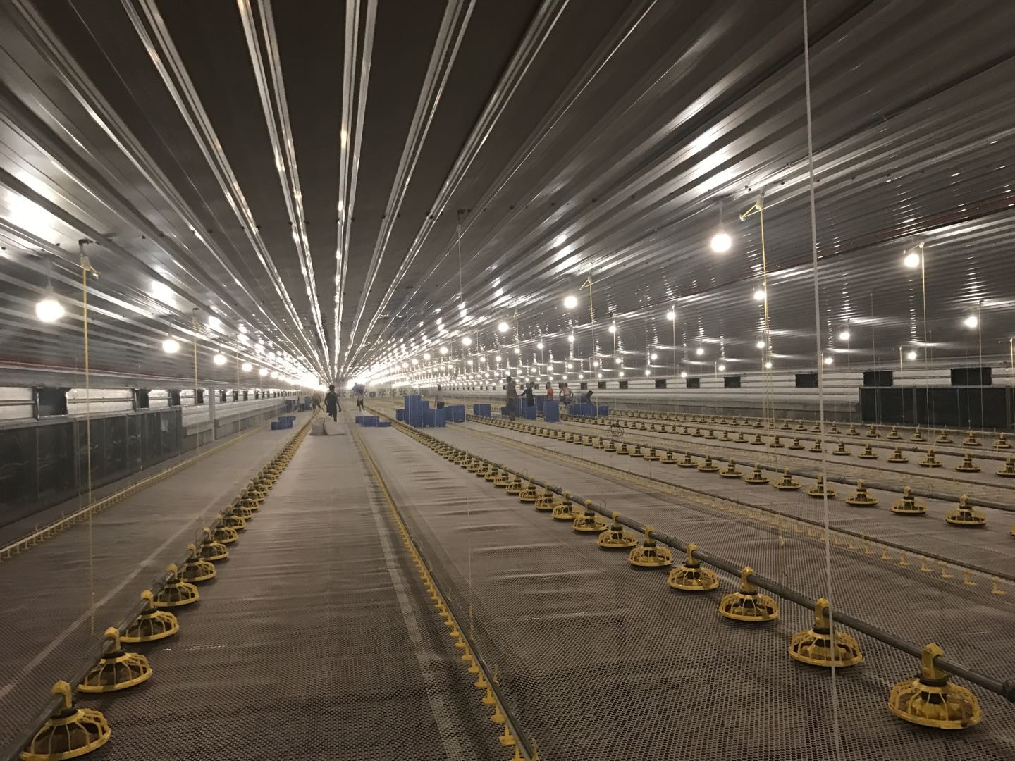 45-55 Birds / Feeder Chicken Farm Equipment With 3m Feed Tube