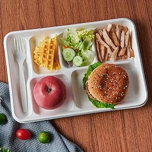 6 compartment plates