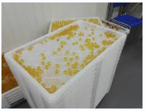 Food Grade PP Rectangle Softgel Drying Tray For Drying Capsules