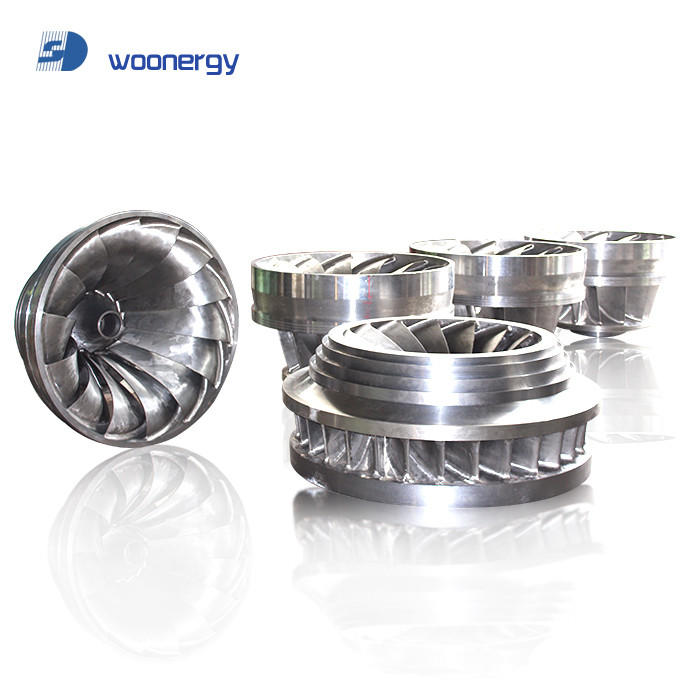 Customized Hydro Power Plant Renewable Energy Water Turbine