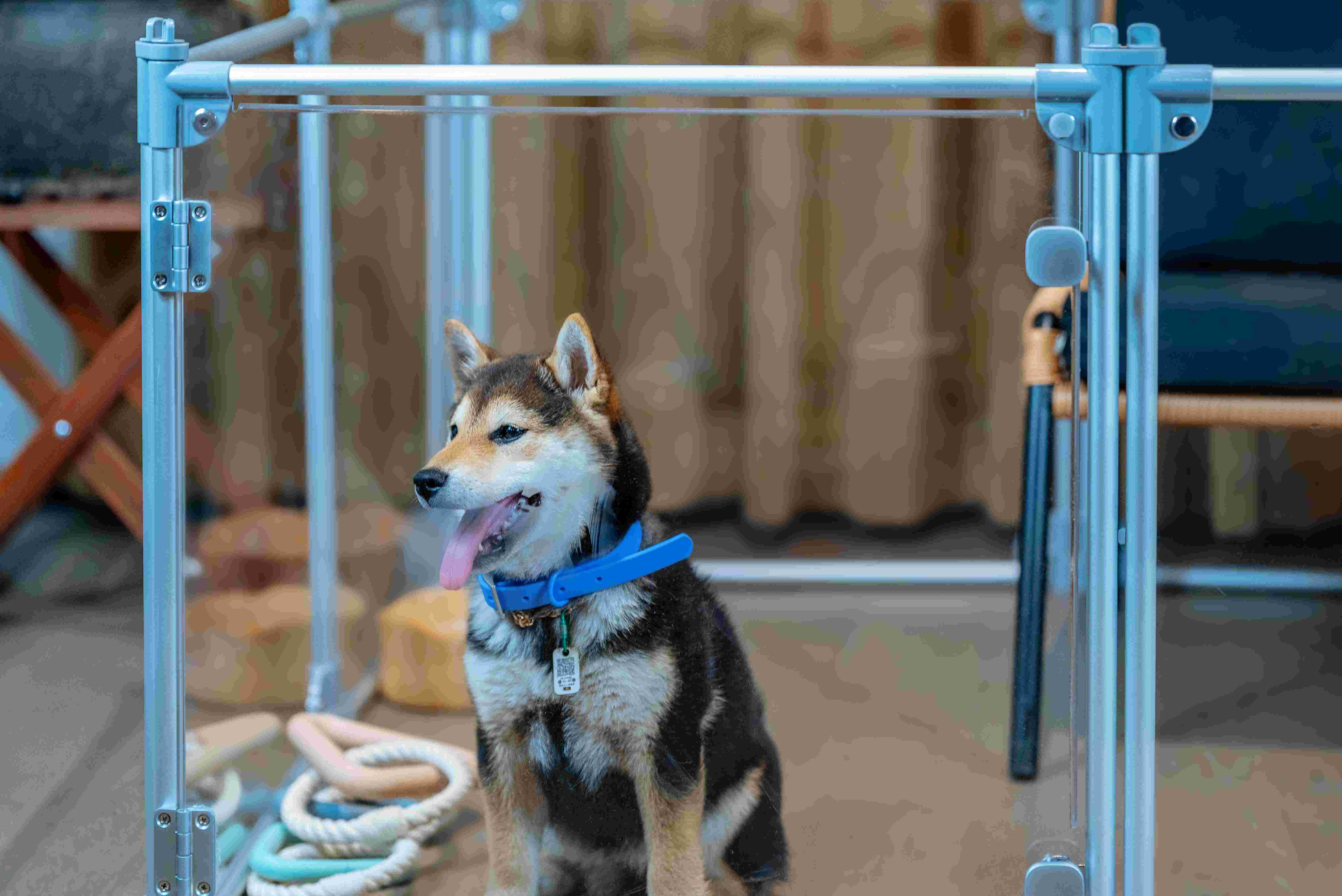Durable Transparent Foldable Pet Playpen For Indoor And Outdoor