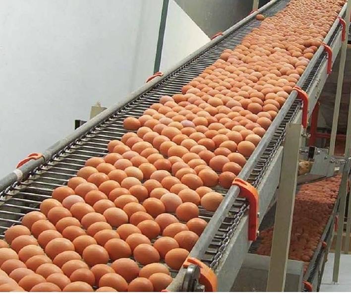 Stainless steel conveyor belt self stacking belt wire mesh belt