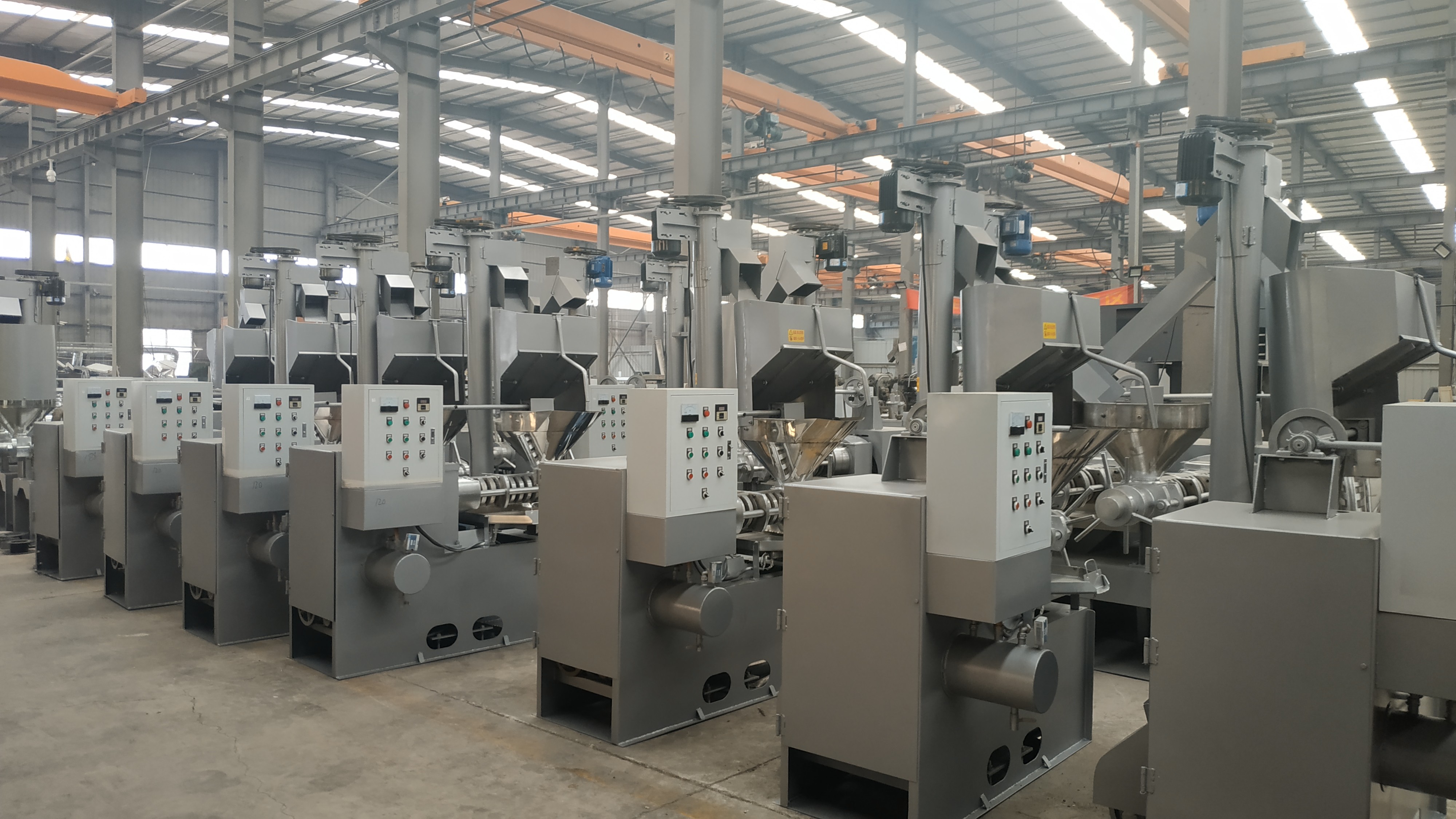 Bar Pressing Large Capacity Mustard Peanut Sesame Screw Oil Press Machine