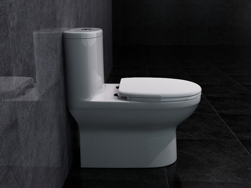ARROW Washdown 1 One Piece Round Toilet Dual Flush Comfort Height