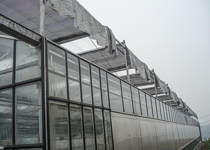 Transparent, Easy-Assemble Galvanized VENLO Greenhouses For Efficient High-Value Agriculture