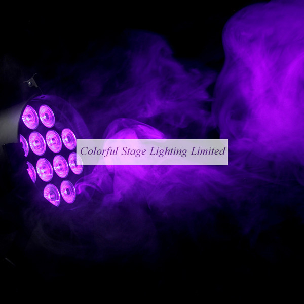 12x15W RGBAW+UV 6 in 1 LED Par Can (5).jpg