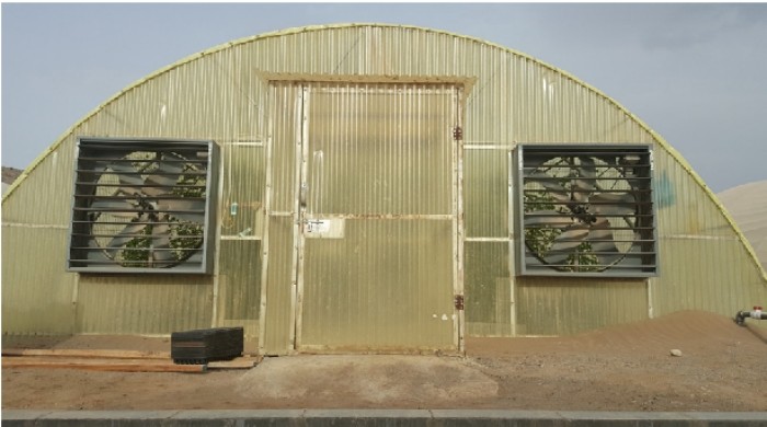Industrial Poly Tunnels For Gardens Head Roof Yellow Film Tunnel Greenhouse Plastic