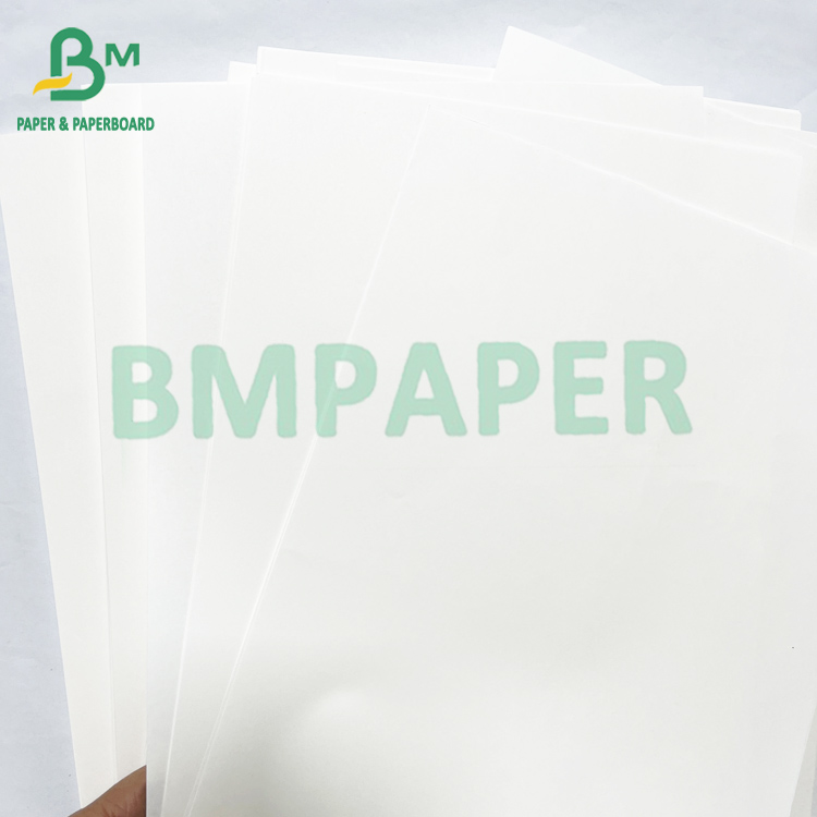 Ivory Color Book Printing Paper Jumbo Roll 40lb 60lb Offset Text 