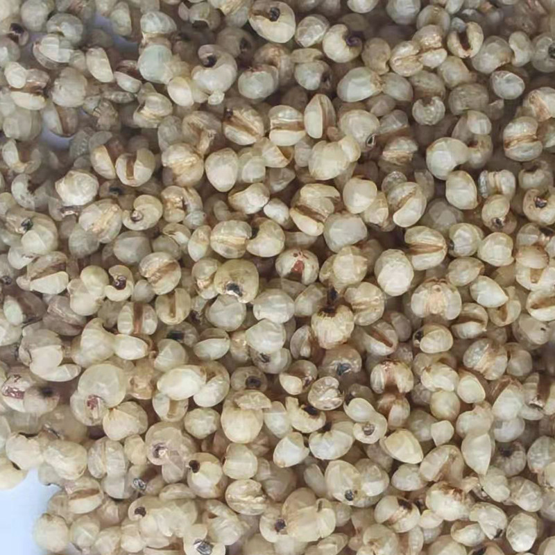 100% Pure Natural Steamed Job'S Tear Roasted For Drink
