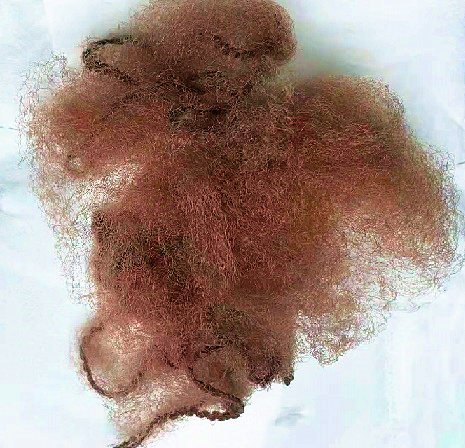 Nylon Mesh Light / Heavy Wigs Disposable Hair Nets Invisible