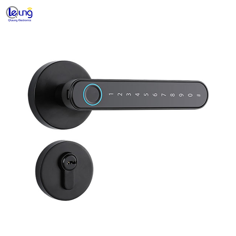Black Tuya BLE Biometric Fingerprint Door Lock S604L Keyless Entry Door Lock