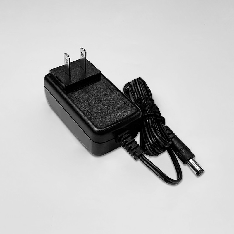 12V 1A AC Power Adapter For Single Color Neon / Beauty Equipment / Digital Photo Frame