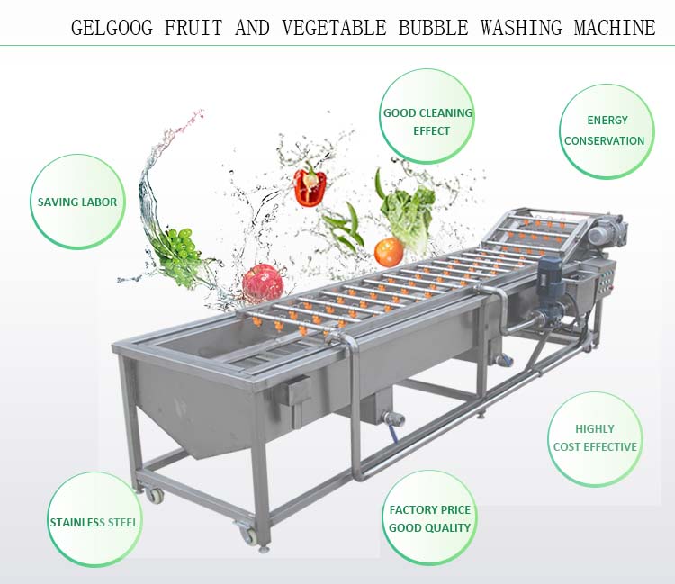300kg/H Fruit Drying Grading Vegetable Washing Machine