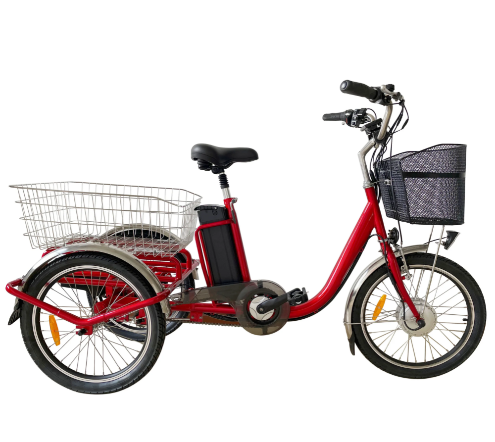 36V 250W Motor 3 Wheel Cargo Bike Tricycle Electric For Adult Derailleur 3 Speed