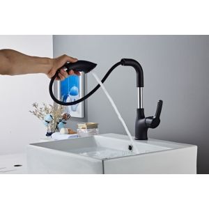 Pull Out Basin New Design Faucets