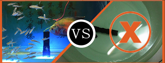 Powerful IP68 Waterproof Magnetic Torch Light 5W 450Lm With Cree LED