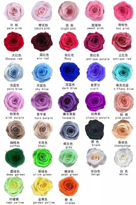 Factory Price Rose Long Lasting Flowers Forever Eternal Preserved Rose Flower Box Gift