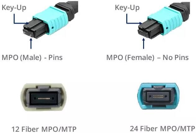 12F 24F OM3 OM4 Plenum MTP MPO Fiber Trunk Cable
