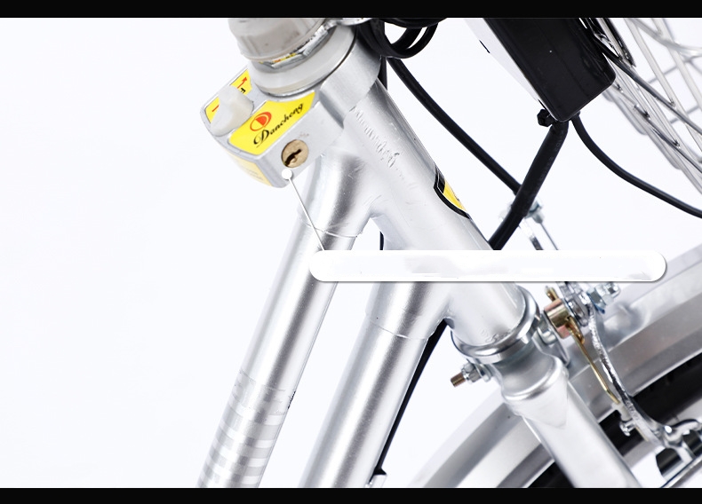 48V 250W Motor Electric Bike Step Through Frame 8Ah / 10Ah Lithium Battery