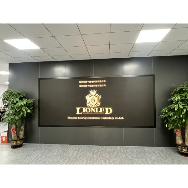 LIONLED USA INC