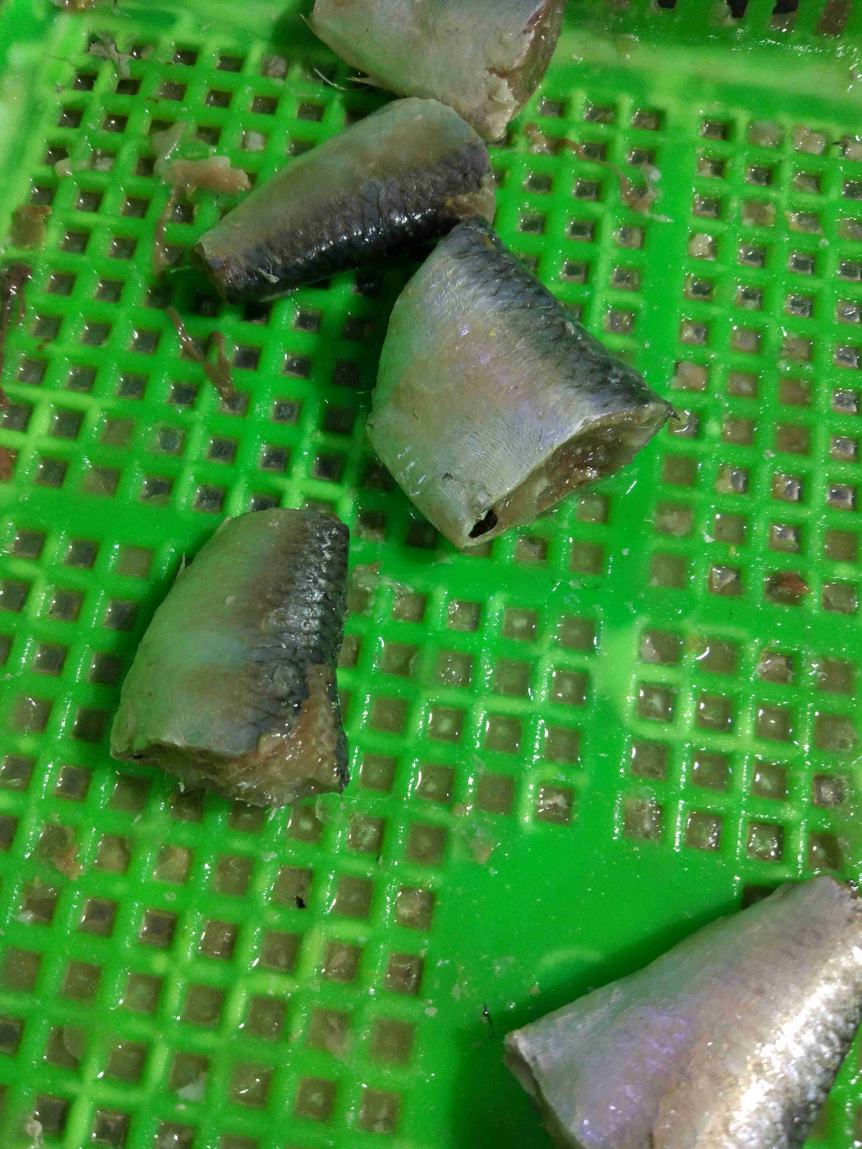 Competitive Price Delicious Fresh Material Sardines Fish Canned in Tomato Sauce
