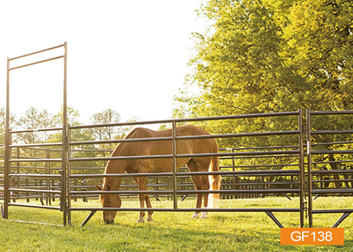 Galvanized 12 Foot Livestock Farm Fence Gates OEM ODM Available