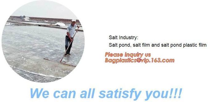 2.0mm geomembrane for landfill Hdpe geomembrane landfill geomembrane,hdpe geomembrane price/gse hdpe geomembrane BAGEASE 23