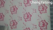 PET Film Laminated Color Coated Steel Coil , Household Appliance Cold Rolled