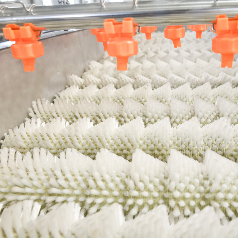 Brush Vegetable Cleaning Peeling Machine