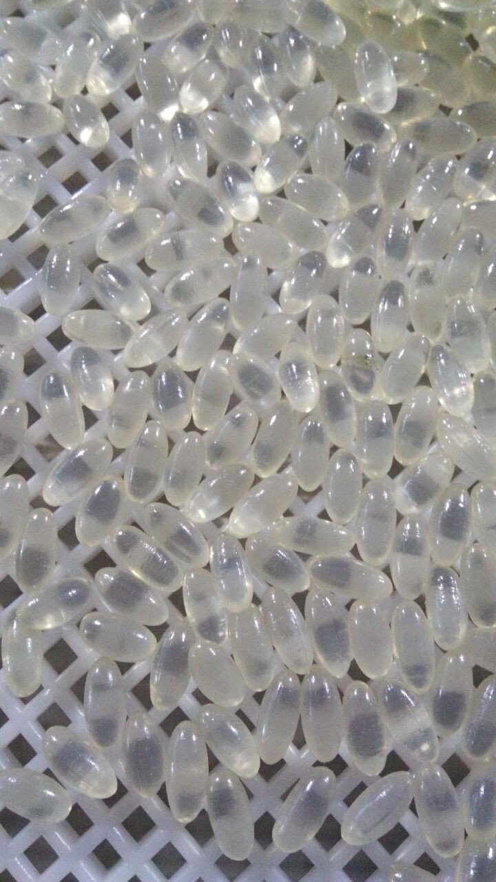 Small Start Fish Oil 12000pcs/H Softgel Encapsulation Machine