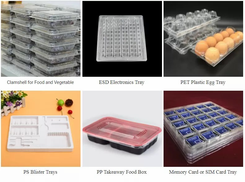 Multistation PET Tray Forming Machine 3 Stations Hole Punching