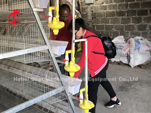 Automatic Battery Poultry Cage Cold Galvanized For Laying Chickens In Africa Market Iris