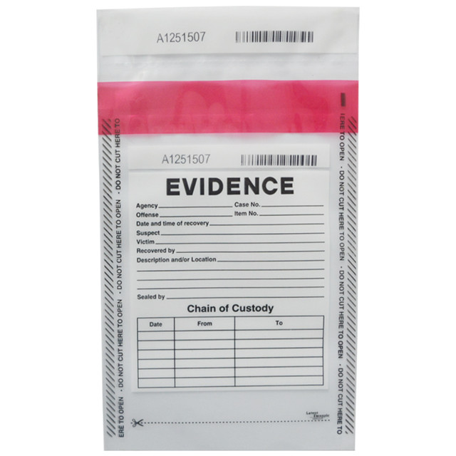 LDPE Security Bag Custom Design Deposit Packing Tamper Evident Bag
