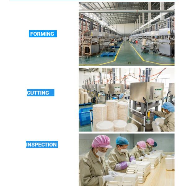 24oz Paper Food Container Eco Friendly Take Away Paper Soup Cups No Added Pfas Soup Cup With Paper Lid