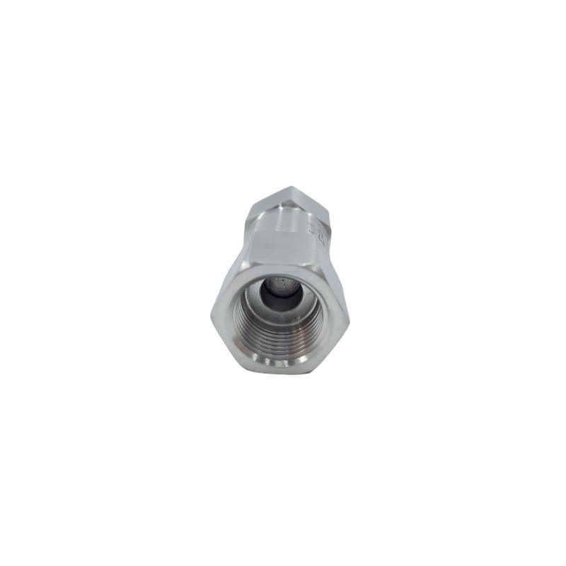 Stainless Steel One Way Non Return Check Valve