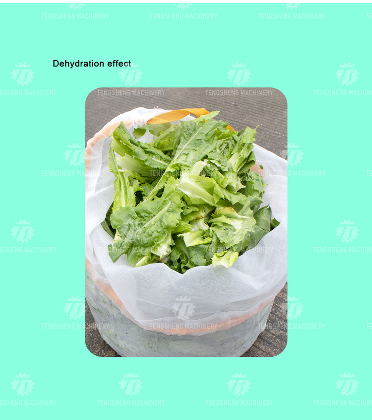 30KG Leaf vegetable dehydrator commercial fruit and vegetable dehydrator small dehydrator