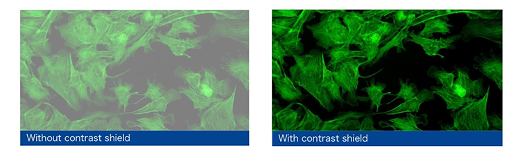 OPTO EDU A16.1065 LCD Screen Inverted LED Fluorescent Microscope Tiltable Binocular Photo Port On Side