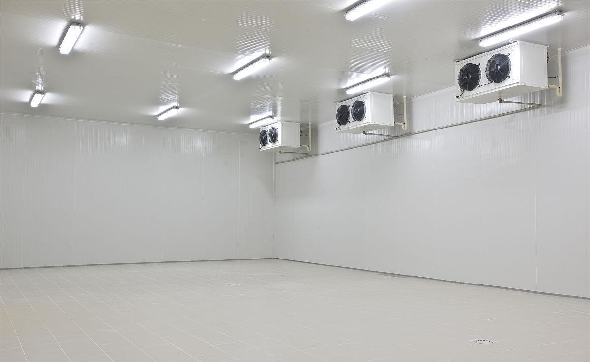 Reliable Performance Refrigerated Storage Easy Installation Freezer Room