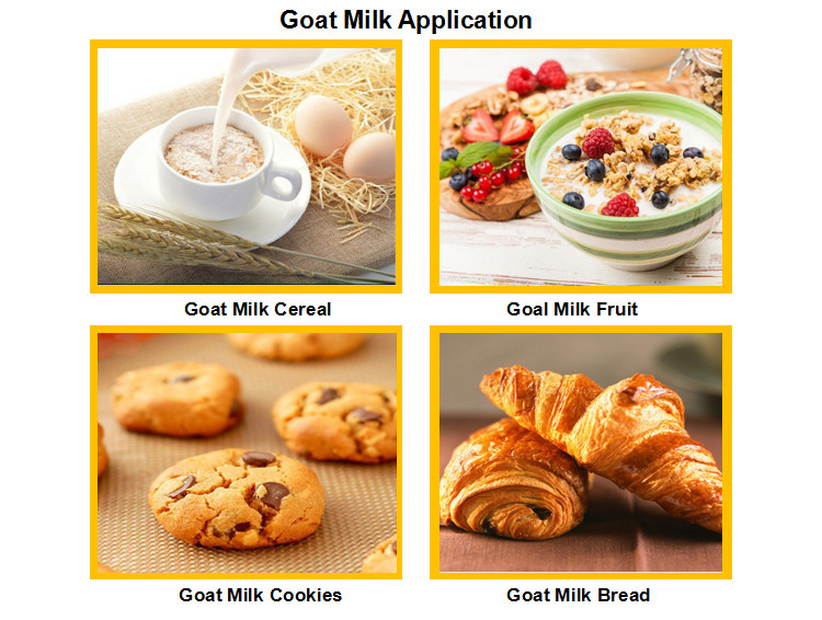 Adults 28% Fat Non GMO 25kg Dried Goat Milk Powder