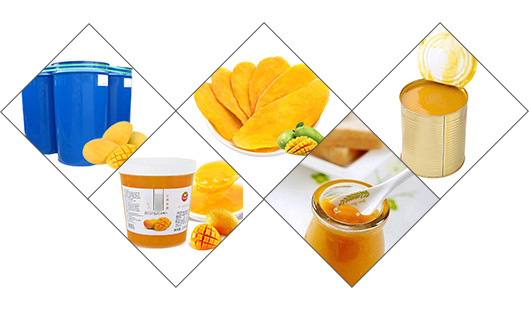 SUS316L Apricot Mango Pulp Puree Processing Line 25t/H